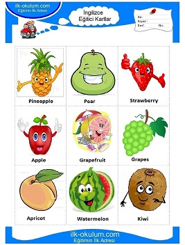 ingilizce Meyveler flashcard-eğitici kartlar 